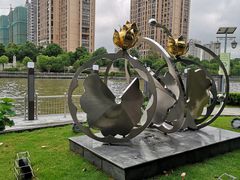 -陈家山荷花公园