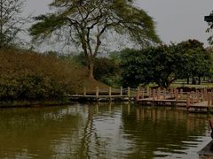 -中国科学院西双版纳热带植物园