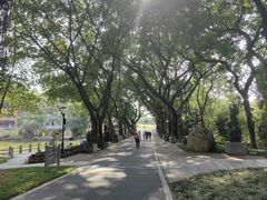 -广州雕塑公园