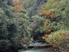 -丹山赤水风景名胜区
