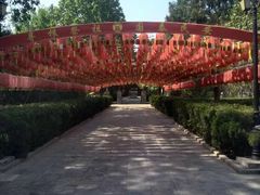 -大槐树寻根祭祖园