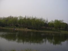 -新江湾城公园