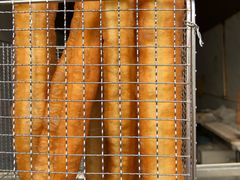 -王氏双塔烧饼(葑门横街店)