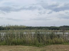 -梁子湖东篱老屋生态庄园
