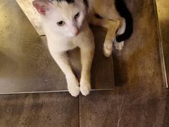 -广记海鲜(杨汊湖一店)