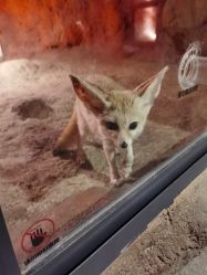 -酷嗒动物文化乐园(cutezoo西溪乐天城店)