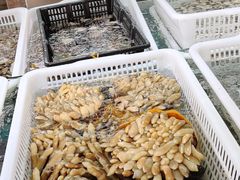 水产区-乐兴海鲜餐厅
