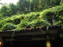 -竹吟山房