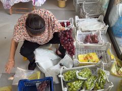 -马陆小张葡萄园农家乐