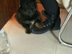 -兰剑驾校(汉阳校区)