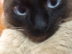 -真功夫(北京路步行街店)