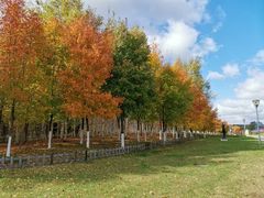 -长春世界雕塑园冰雪艺术天地