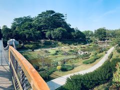 -东莞植物园