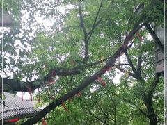 -重庆十八梯传统风貌区