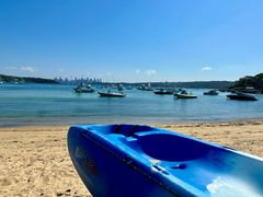 -麦考利夫人座椅