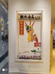 -乐高授权专卖店(朝阳大悦城店)