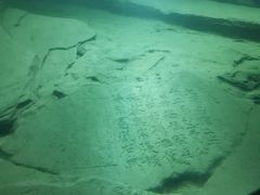 -白鹤梁水下博物馆