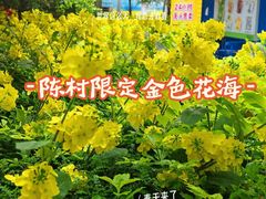 -顺联广场(陈村店)