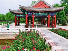 -西海子公园