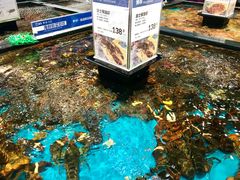 -盒马鲜生(皇庭广场店)