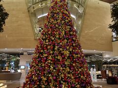 -皇朝尊会(龙之梦大酒店)