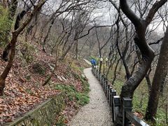 -句容茅山景区