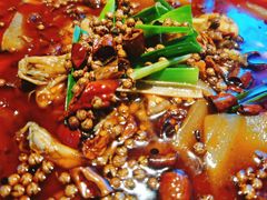 -宽口美蛙鱼头(大唐西市店)