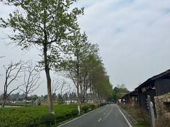 -夏河溪乡野公园