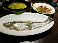 -青叶202都市餐厅(迪诺水镇店)