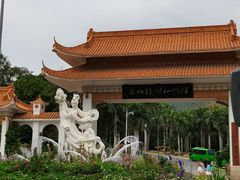 -深圳仙湖植物园