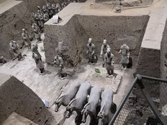 -秦始皇帝陵博物院-丽山园