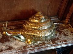 -金蜗牛