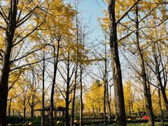 -黄兴公园