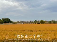 -良渚古城遗址公园