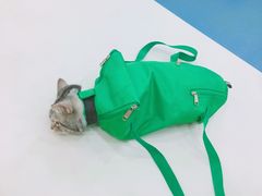-宠颐生东兴动物医院(大悦城店)
