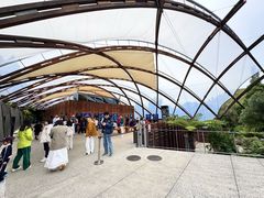 -怀托摩萤火虫洞