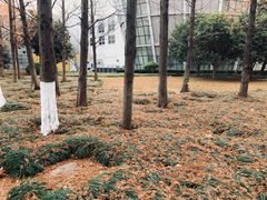 -上海第二工业大学(金海路校区)