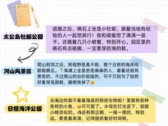 -日照海滨国家森林公园
