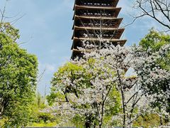 -牛首山文化旅游区