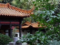 -广州兰圃