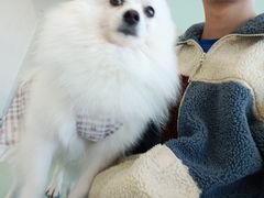 -怪兽屋·羊驼·猫咖·狗咖(俊华广场店)