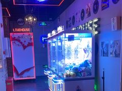 -唱吧麦颂KTV(马驹桥店)