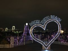 -台场海滨公园船码头