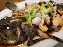-圣丰盛宴酒家(东城店)
