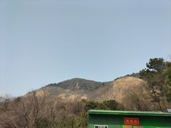 -树山生态村
