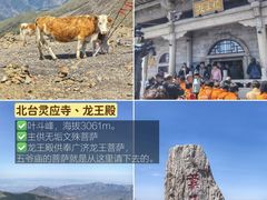 -五台山风景名胜区