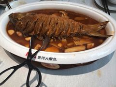 红烧黄河鲤鱼-阿五黄河大鲤鱼(英协路店)