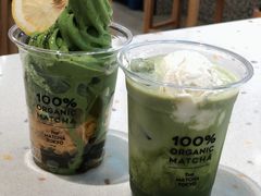 -THE MATCHA TOKYO抹茶东京