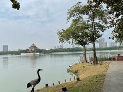 -顺峰山公园