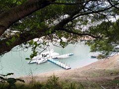 -广州市流溪河国家森林公园